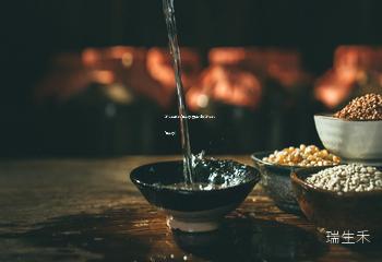 怎么能够代理茅台酒赚钱呢(怎样代理茅台)
