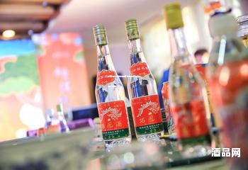 做白酒代理的风险有哪些呢知乎(白酒代理的坑)